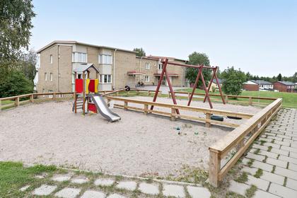 Bild av trädgården