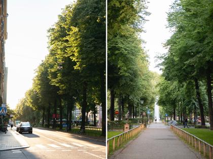 Utsiktsbild