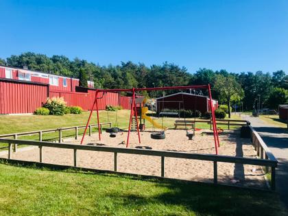 Bild av trädgården