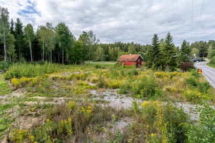 Kopparbo Björkliden 2, Kolmården