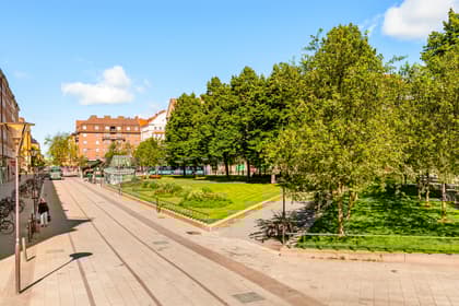 Bild av närområdet