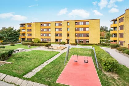 Bild av trädgården