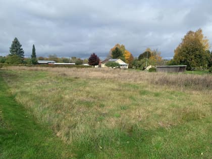 Bild av trädgården