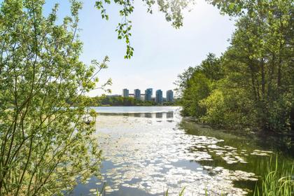 Bild av trädgården