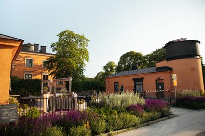 Bild av trädgården