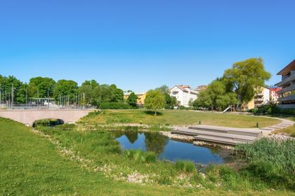 Bild av trädgården