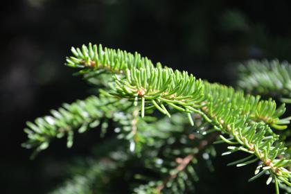 Adress saknas, Nordmaling