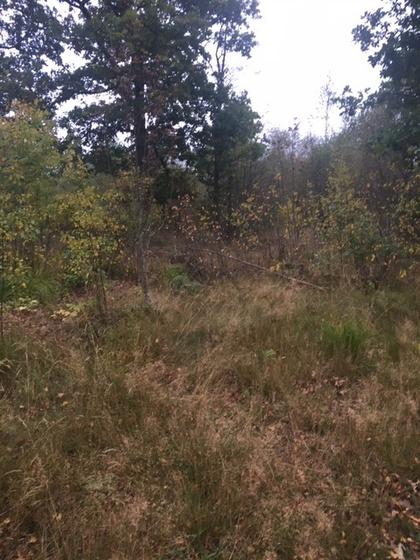 Förlandavägen 872, Förlanda