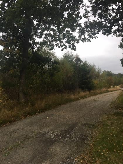 Förlandavägen 872, Förlanda