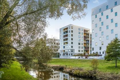Borstbindaregatan 3