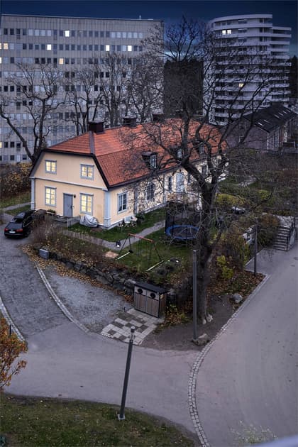 Bild av trädgården