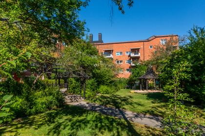 Bild av trädgården