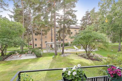 Bild av trädgården