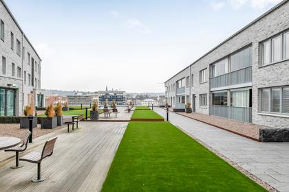 Bild av trädgården