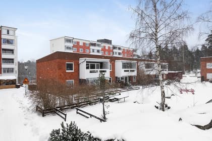 Bild av trädgården