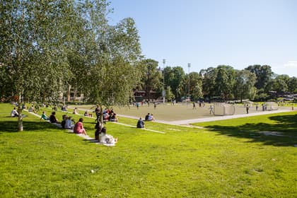 Bild av trädgården