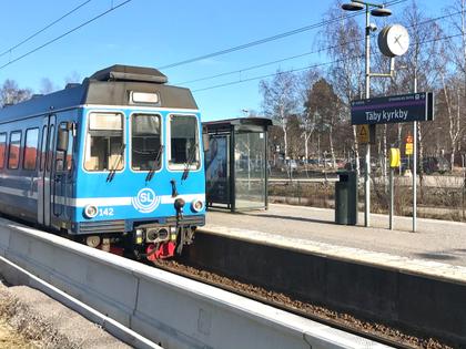 Bild av trädgården