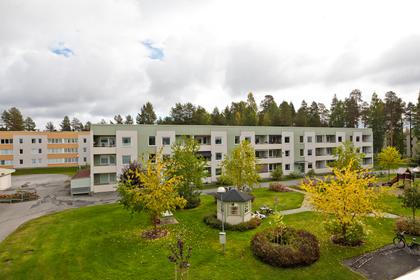 Orkestervägen 50, Sjungande Dalen