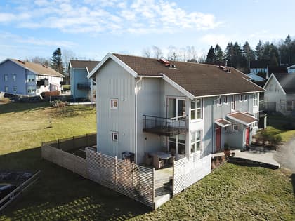 Bild av trädgården