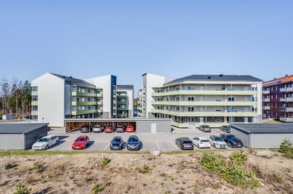 Bild av trädgården