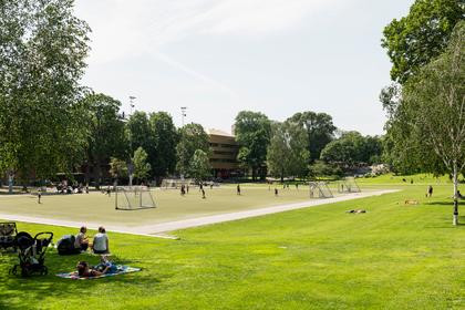 Bild av trädgården