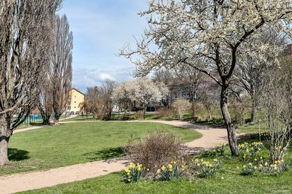 Knut Hahnsgatan 7B, Centrum