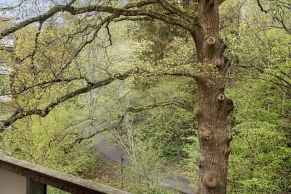 Tunnlandsvägen 87, Åkeslund