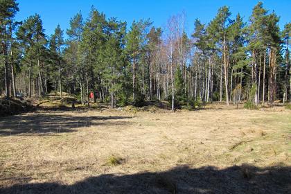 Bild av trädgården