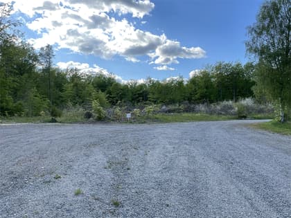 Bild av trädgården