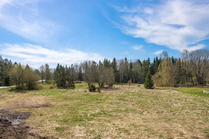 Bild av trädgården