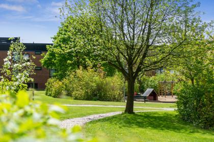 Bild av trädgården