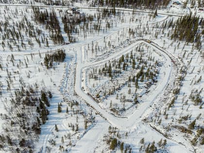 Bild av trädgården