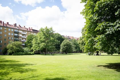 Bild av trädgården