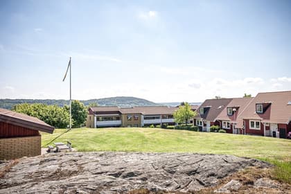 Bild av trädgården