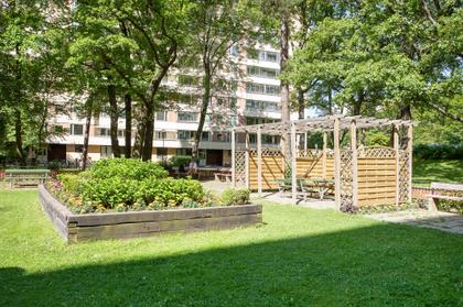 Bild av trädgården