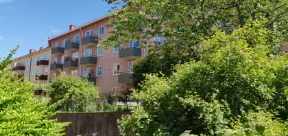 Bild av trädgården