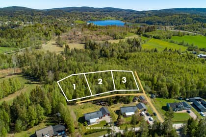 Bild av trädgården