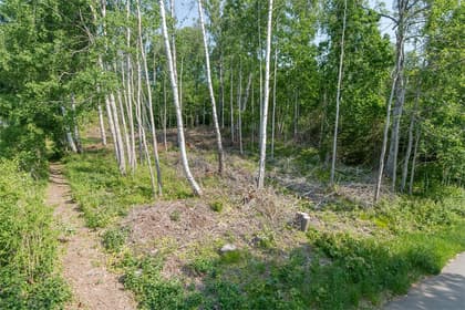 Bild av trädgården