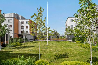 Bild av trädgården