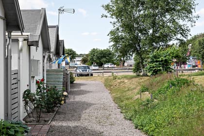 Bild av trädgården