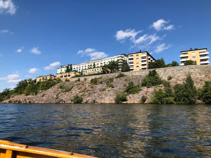 Bild av trädgården