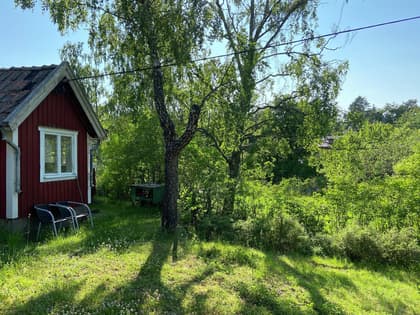 Bild av trädgården