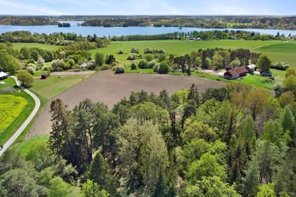 Bild av trädgården