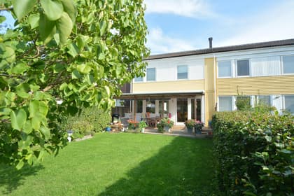 Bild av trädgården