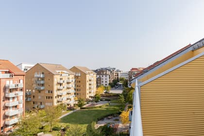 Bild av trädgården