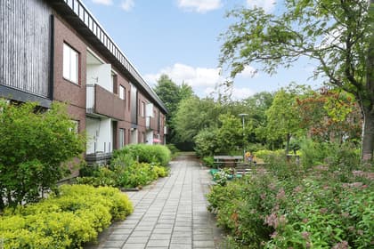 Bild av trädgården