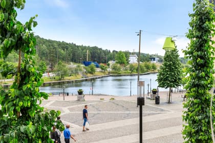 Bild av trädgården