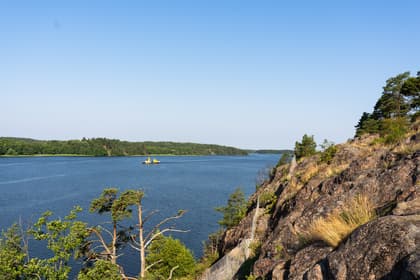 Bild av närområdet