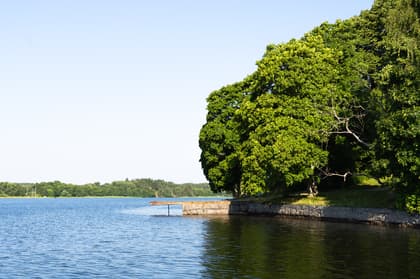 Bild av närområdet