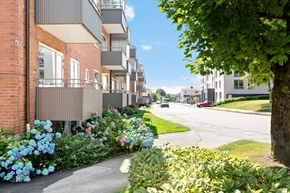 Bild av trädgården